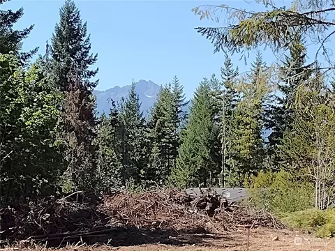 2702 NE Dewatto Rd, Tahuya, WA 98588