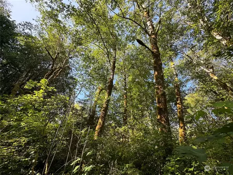 0 Whitcomb-dimmell Rd, Forks, WA 98331