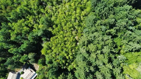 10806 Larson Rd, Anderson Island, WA 98303