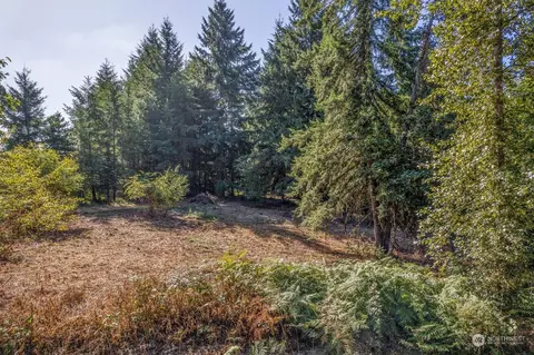 110 Rawlins Rd, Toledo, WA 98591 photo 2