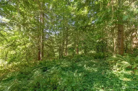 110 Rawlins Rd, Toledo, WA 98591 photo 8