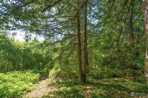 110 Rawlins Rd, Toledo, WA 98591 photo 12