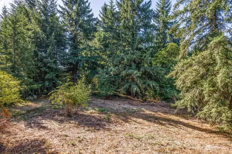 110 Rawlins Rd, Toledo, WA 98591