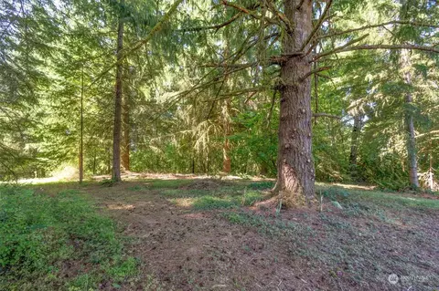 110 Rawlins Rd, Toledo, WA 98591 photo 7