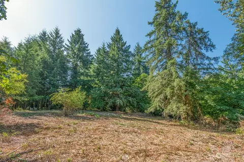 110 Rawlins Rd, Toledo, WA 98591 photo 6