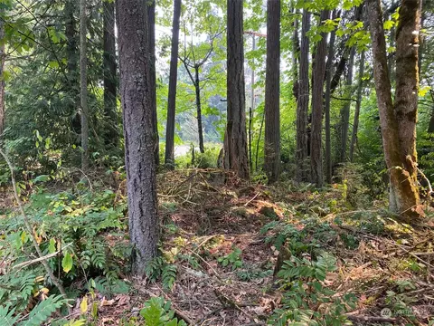 0 30th Ave E, Parkland, WA 98446