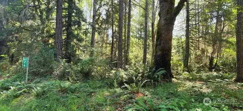 11 NE Nn Ne North Shore Rd, Tahuya, WA 98528