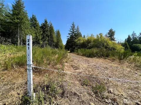 241 Bremgartner Rd, Winlock, WA 98596 photo 2