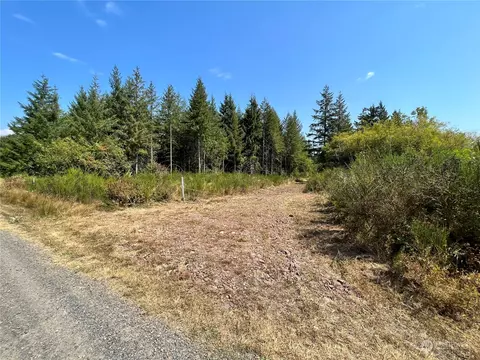 241 Bremgartner Rd, Winlock, WA 98596 photo 4