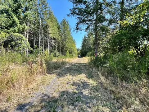 241 Bremgartner Rd, Winlock, WA 98596 photo 3