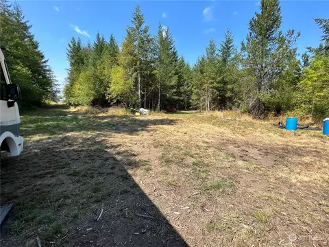 241 Bremgartner Rd, Winlock, WA 98596 photo 8
