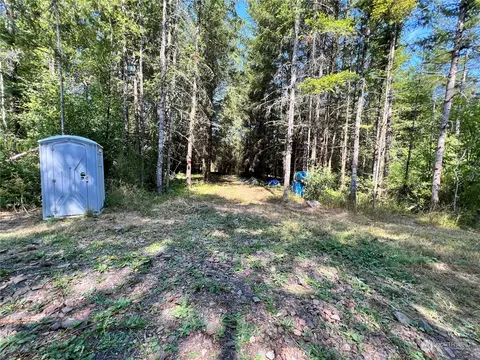 241 Bremgartner Rd, Winlock, WA 98596 photo 6