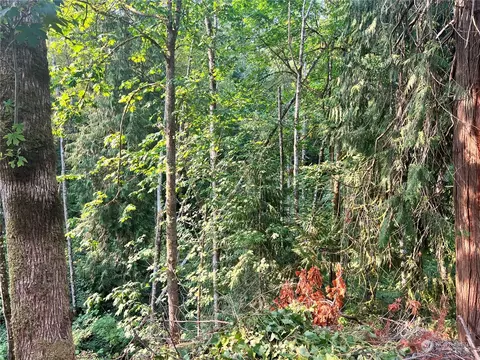 0 E Canyon View Dr, Longview, WA 98632 photo 2