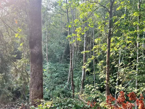 0 E Canyon View Dr, Longview, WA 98632 photo 3
