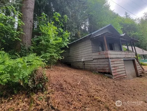 420 S Shore Rd, Quinault, WA 98575