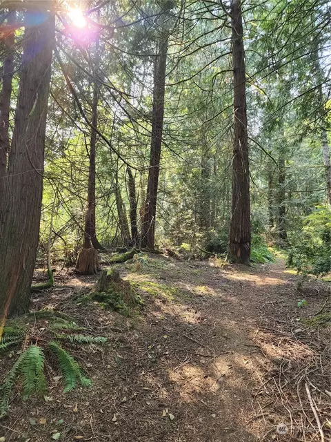 4114 136th St NW, Gig Harbor, WA 98332