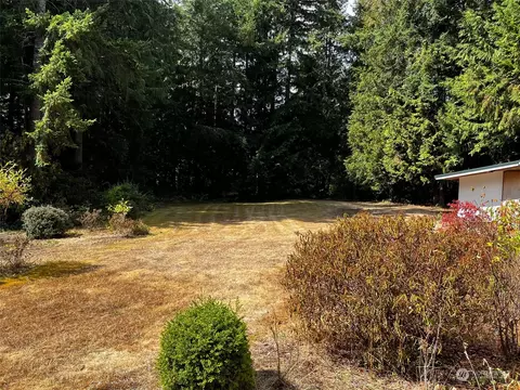 62 Springer Ln, Brinnon, WA 98320 photo 4