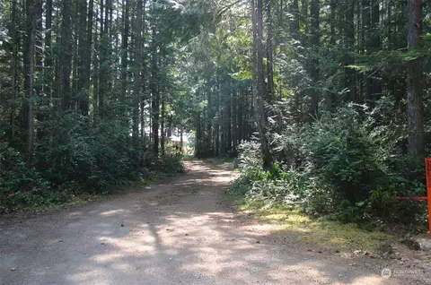 62 Springer Ln, Brinnon, WA 98320 photo 26
