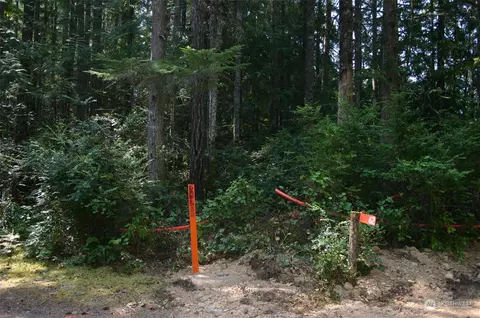 62 Springer Ln, Brinnon, WA 98320 photo 25