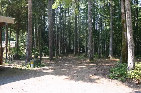 62 Springer Ln, Brinnon, WA 98320 photo 31
