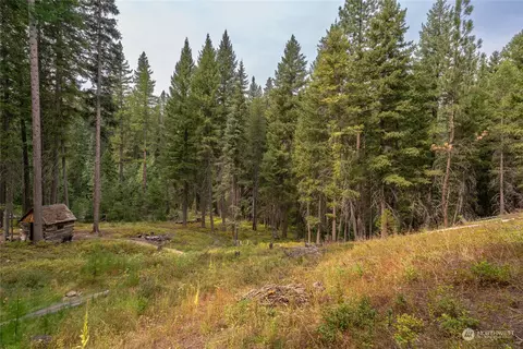 0 W Fork Rd, Conconully, WA 98819 photo 6