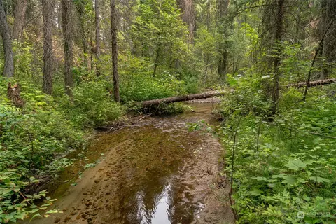 0 W Fork Rd, Conconully, WA 98819 photo 3