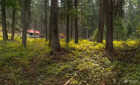 0 W Fork Rd, Conconully, WA 98819 photo 20