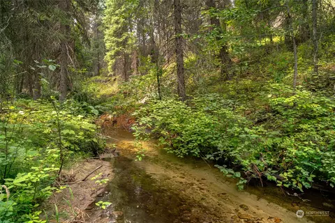 0 W Fork Rd, Conconully, WA 98819 photo 18