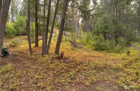 0 W Fork Rd, Conconully, WA 98819 photo 4
