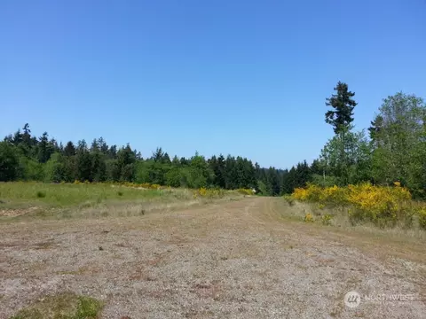 11300 87th Street Ct, Anderson Island, WA 98303