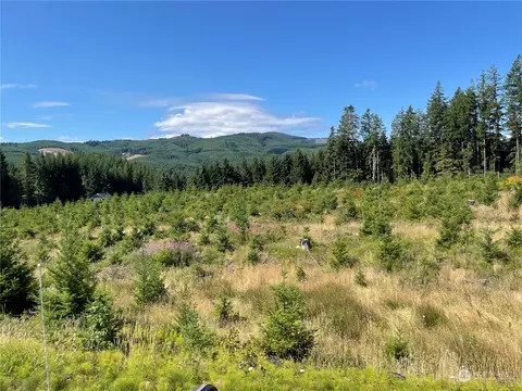 0 Pe Ell Mcdonald Rd, Boistfort, WA 98532