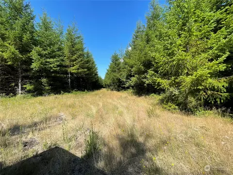0 Kobe Rd, Pe Ell, WA 98572