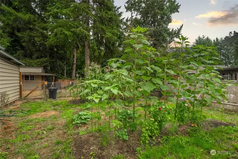 312 Mill Ave SE, Orting, WA 98360 photo 6