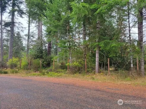 0 W Salmonberry Dr, Elma, WA 98541