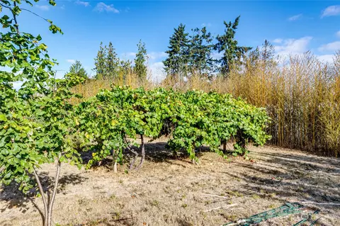 202 Williamson Rd, Sequim, WA 98382 photo 34