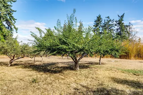 202 Williamson Rd, Sequim, WA 98382 photo 36