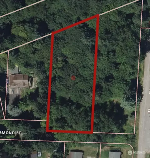 1020 Diamond St, Milton, WA 98354