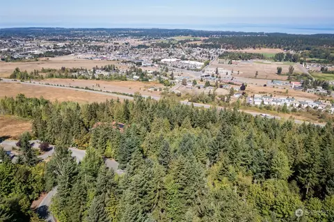 41 Doe Run Rd, Sequim, WA 98382 photo 38