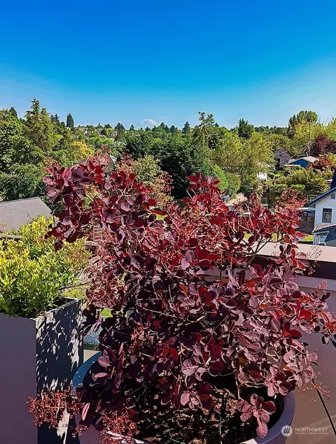 2502 E Olive St, Seattle, WA 98122 photo 30