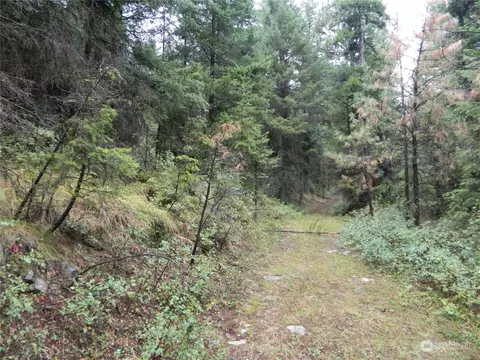 0 Tbd Turner Lake Rd, Tonasket, WA 98855