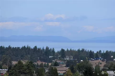 507 Eunice St, Sequim, WA 98382 photo 5