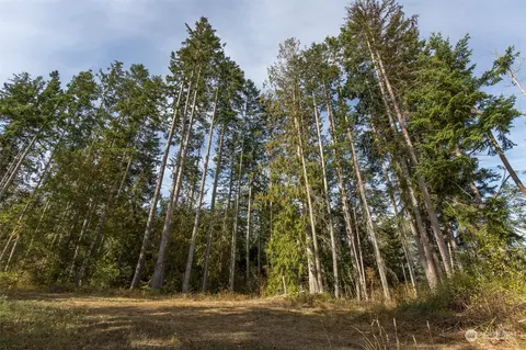 197 Jay Robinson Rd, Sequim, WA 98382 photo 39