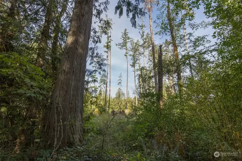 197 Jay Robinson Rd, Sequim, WA 98382 photo 33