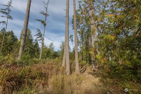 197 Jay Robinson Rd, Sequim, WA 98382 photo 36