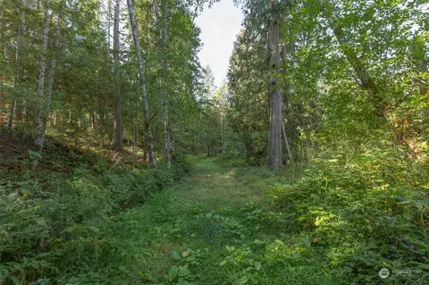 197 Jay Robinson Rd, Sequim, WA 98382 photo 32