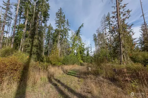 197 Jay Robinson Rd, Sequim, WA 98382 photo 37