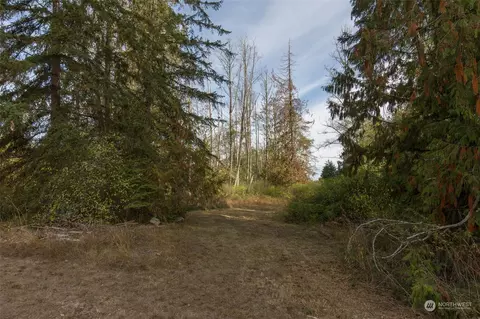 197 Jay Robinson Rd, Sequim, WA 98382 photo 30