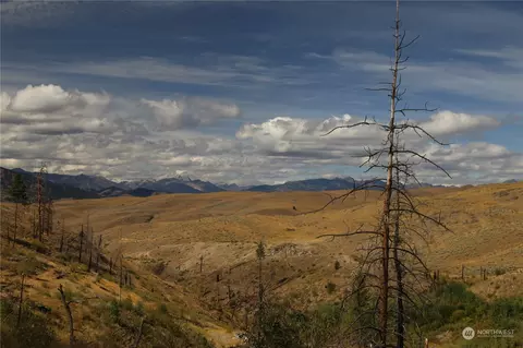 20858 Highway 20, Twisp, WA 98856 photo 3