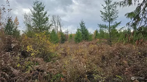 12518 Kapowsin Hwy E, Graham, WA 98338
