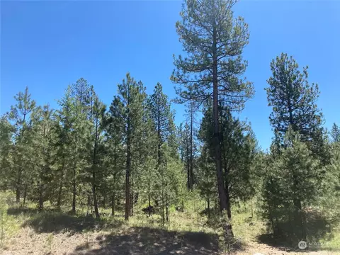 25 Lot 1 Chief Joseph Trl, Riverside, WA 98849